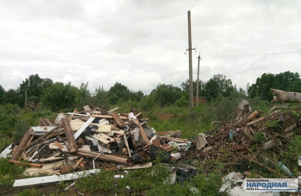 Активисты Смоленска ликвидировали крупную свалку в Заднепровском районе города